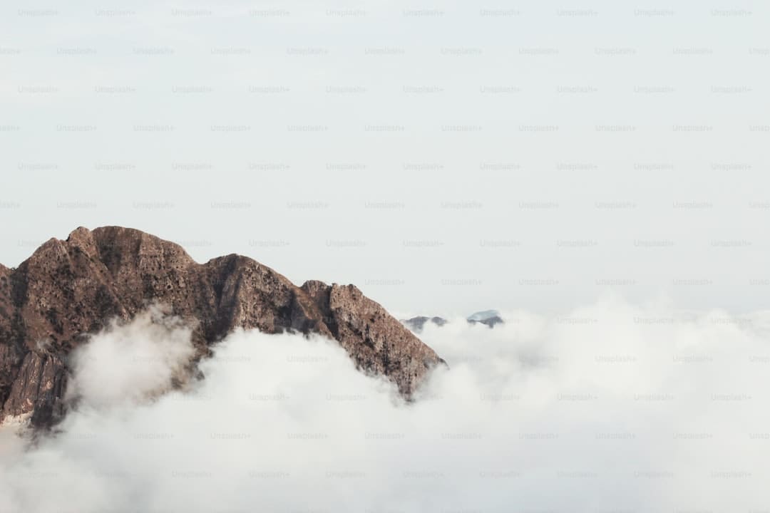 王晶爆料赵露思与经纪公司闹翻真相